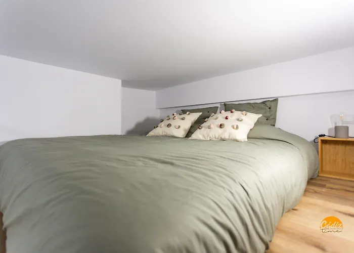 Brisa De Verano By Time Καντίζ