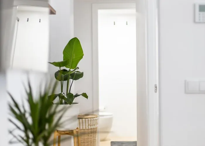 Apartment Brisa De Verano By Time Cadiz