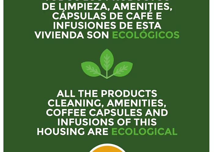 Brisa De Verano By Time Daire Cadiz